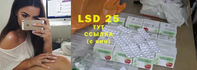 блэк спрут как зайти  Кировград  LSD-25 экстази кислота  купить  